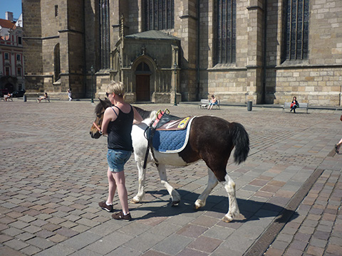 Pony Plzeň